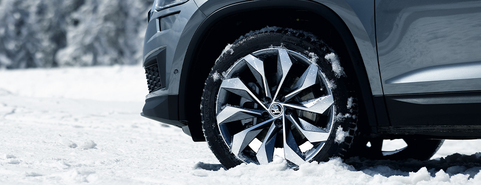 850-310_sad_b6_service_winter_hpp_ra|ederwechsel